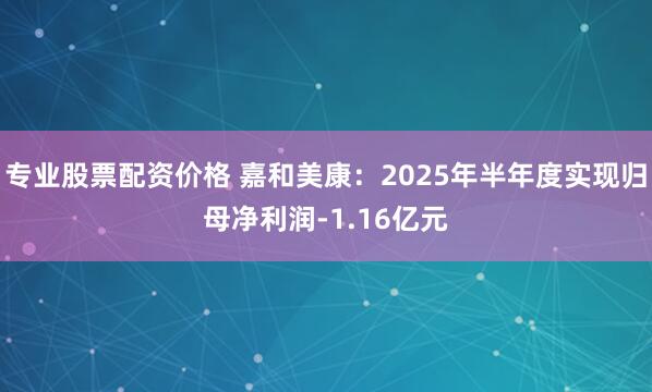 专业股票配资价格 嘉和美康：2025年半年度实现归母净利润-1.16亿元