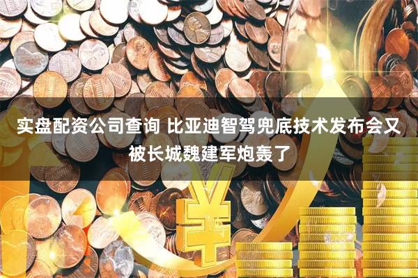 实盘配资公司查询 比亚迪智驾兜底技术发布会又被长城魏建军炮轰了