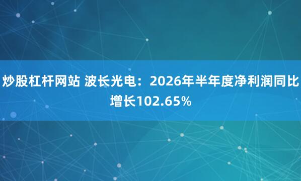 炒股杠杆网站 波长光电：2026年半年度净利润同比增长102.65%